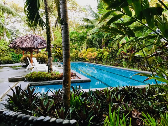 swimming pool in jungle